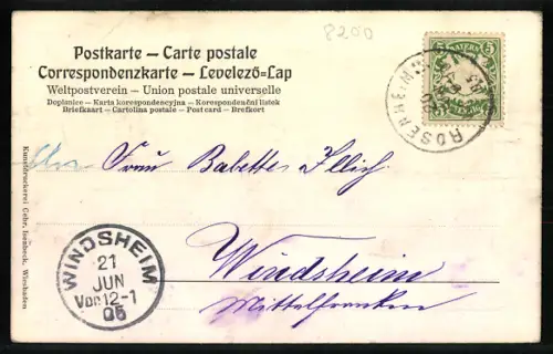 AK Rosenheim, Panorama