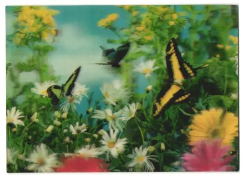 3D-AK Schmetterlinge und Blumen