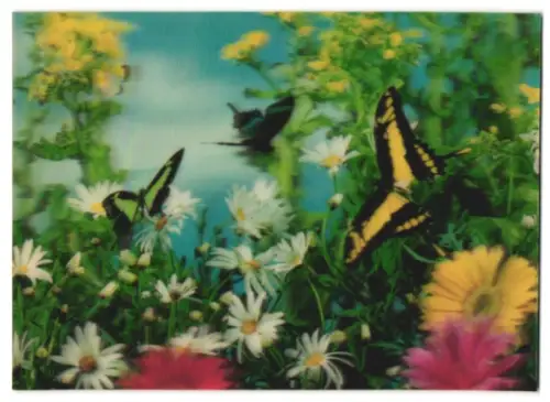 3D-AK Schmetterlinge und Blumen