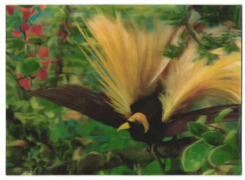 3D-AK A Bird of Paradise, Braun-gelber Vogel