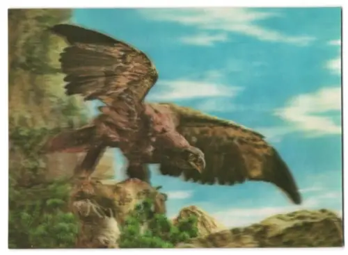 3D-AK Eagle, Adler auf einem Fels