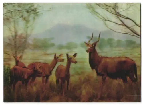 3D-AK Kudus in der afrikanischen Steppe