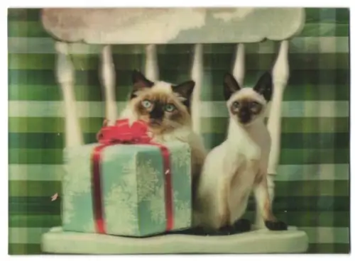 3D-AK 2 Siamkatzen mit Geschenk auf Stuhl