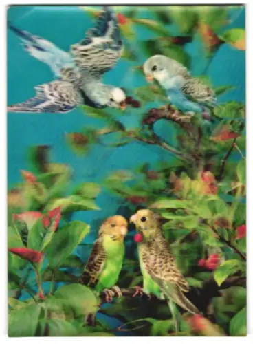 3D-AK Wellensittiche auf einem Ast