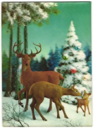 3D-AK Family of Deer