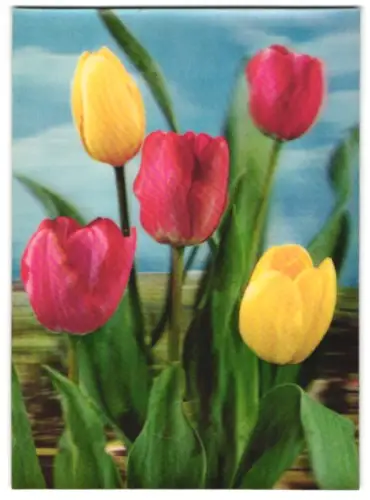 3D-AK rot-gelber Tulpenstrauss