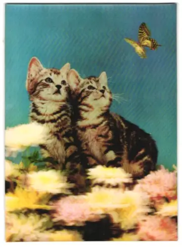 3D-AK Katzen beobachten einen Schmetterling