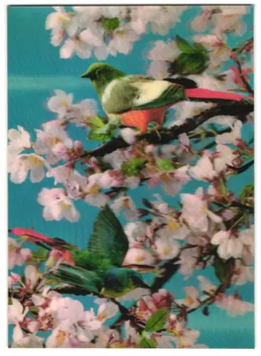 3D-AK Singvogel sitzt auf einem Ast