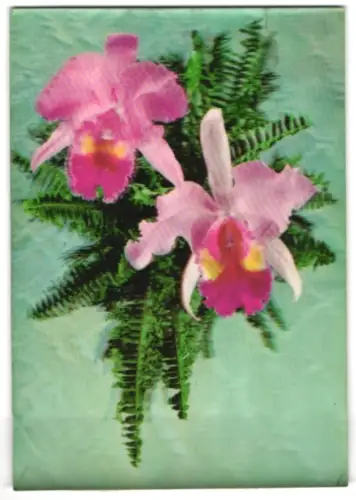 3D-AK rosa Orchideen auf Farn