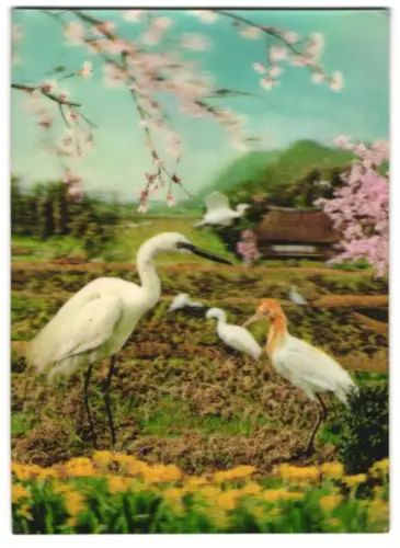 3D-AK Storche und Reiher in einem Garten unter Baum-Blüten
