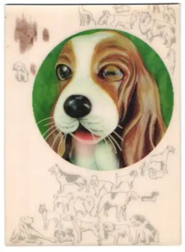 AK 3D-Karte, Beagle lächelt und zwinkert