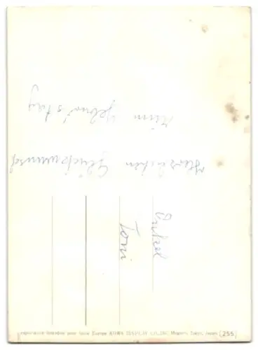 3D-AK Rosafarbene Rosenblüten