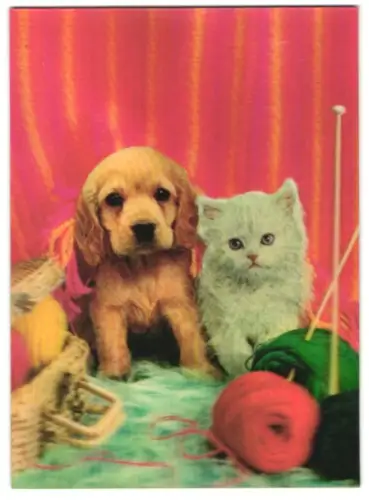 3D-AK Katze und Hund auf dem Bett