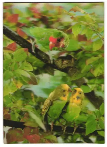3D-AK Wellensittiche & Papagei auf einem Ast