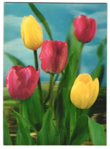 3D-AK rot-gelber Tulpenstrauss
