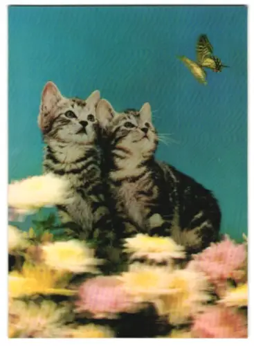 3D-AK Katzen beobachten einen Schmetterling