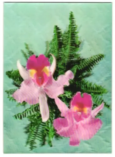 3D-AK rosa Orchideen auf Farn