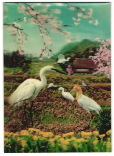 3D-AK Storch auf Nahrungssuche