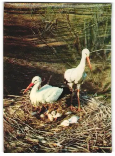 3D-AK Storchenpaar in seinem Horst