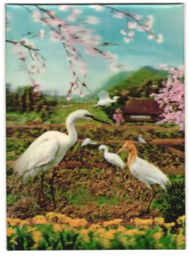 3D-AK Storche und Reiher in einem Garten unter Baum-Blüten