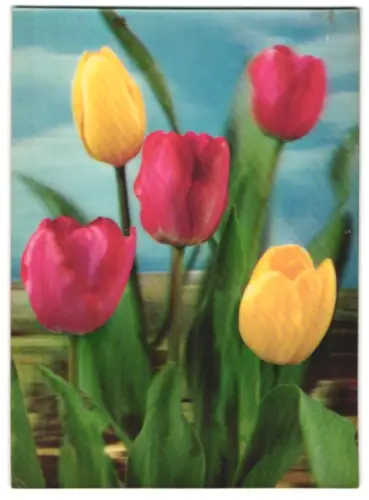 3D-AK rot-gelber Tulpenstrauss
