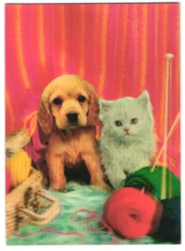 3D-AK Katze und Hund auf dem Bett