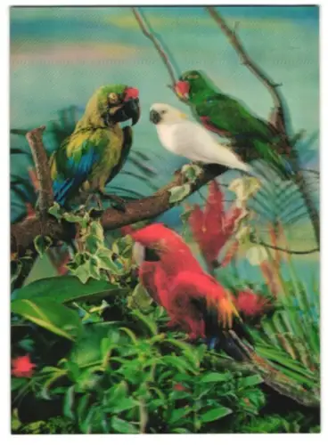 3D-AK Verschiedene Papageinvögel sitzen zusammen