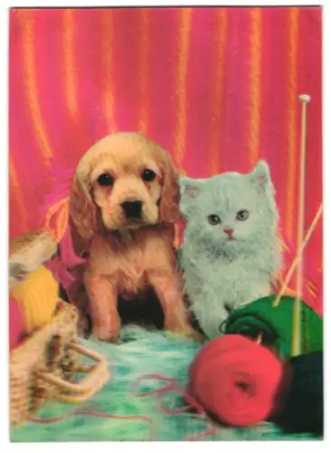 3D-AK Katze und Hund auf dem Bett