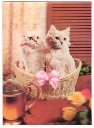 3D-AK Zwei weisse Katzen in einem Korb