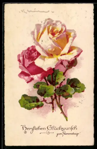 Künstler-AK Catharina Klein: Rote und weisse Rosenblüte