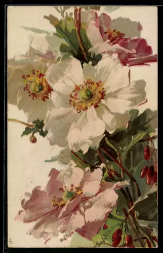 Künstler-AK Catharina Klein: Strauss von Anemonen-Blumen