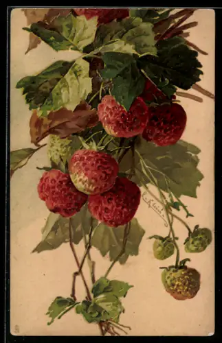 Künstler-AK Catharina Klein: Reife und noch grüne Erdbeeren
