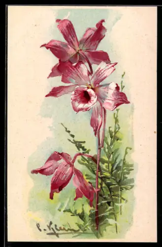 Künstler-AK Catharina Klein: Drei rosafarbene Blüten