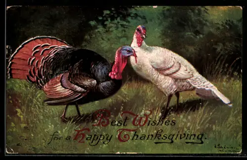 Künstler-AK Alfred Schönian: Truthahn-Weibchen und Truthahn-Männchen auf der Wiese
