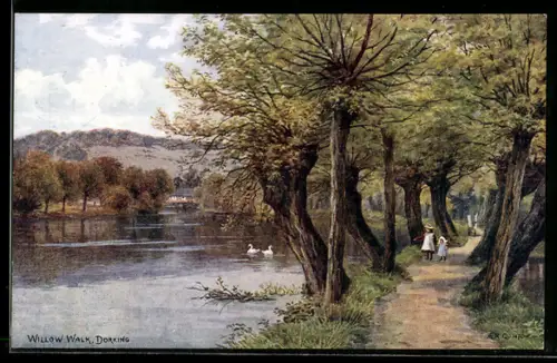 Künstler-AK A. R. Quinton: Dorking, Willow Walk