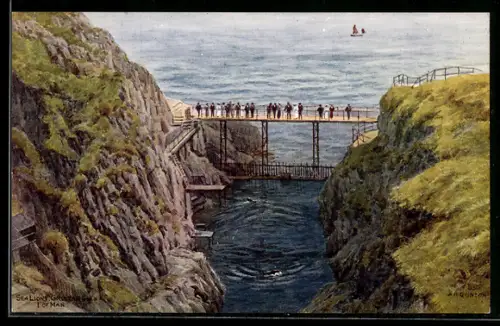 Künstler-AK A. R. Quinton: Isle of Man, Sealions