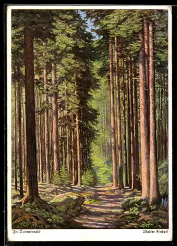 Künstler-AK Walter Einbeck: Im Tannenwald