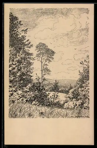 Künstler-AK Hans von Volkmann: Waldlichtung