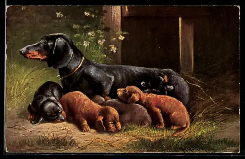 Künstler-AK August Müller - München: Dackel-Hündin mit ihren Welpen
