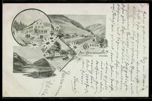 AK Seewiesen /Steiermark, Ortsansicht, See und Strassenpartie