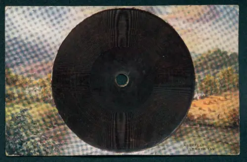 AK Schallplatte von Tuck`s Gramophone Record No. 4, Annie Laurix