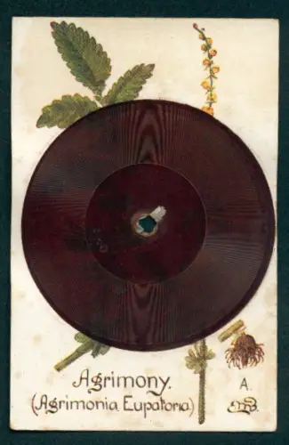 AK Schallplatte von Tuck`s Gramophone Record No. 7, Many Happy Returns of the Day