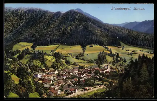 AK Eisenkappel /Kärnten, Gesamtansicht aus der Vogelschau