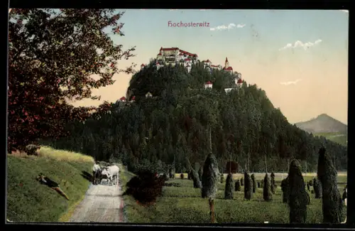 AK Hochosterwitz, Schloss auf Felssporn, Waldhang, Weg mit Fuhrwerk