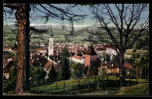 AK Wolfsberg /Kärnten, Ortsansicht mit Saualpe