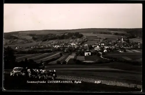 AK Unterrabnitz /Burgenland, Panorama mit Ort, Kirche und Feldern