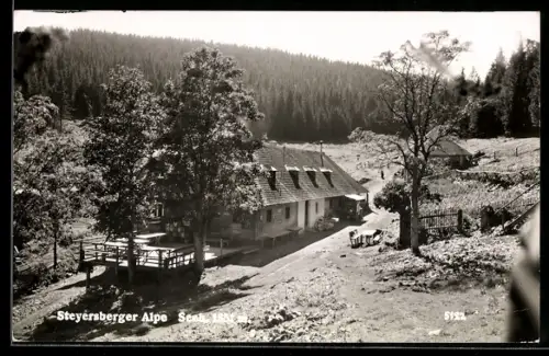 AK Kirchberg am Wechsel, Steyersberger Alpe, Almhütte mit Terrasse, Weide und Nadelwald