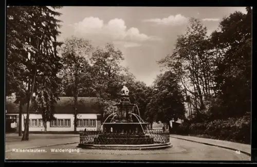 AK Kaiserslautern, Waldeingang, Brunnenanlage