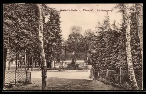 AK Kaiserslautern /Rheinpf., Waldeingang