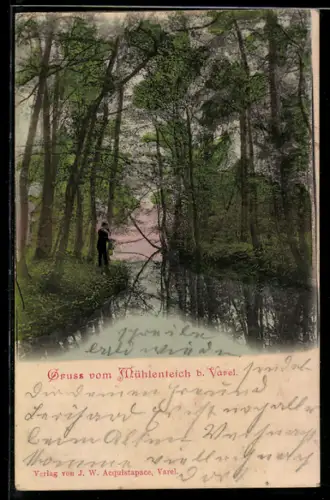 AK Varel, Mühlenteich im Wald